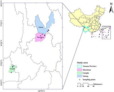 Molecular detection of Bartonella species in wild <mark class="highlighted">small mammals</mark> in western Yunnan Province, China